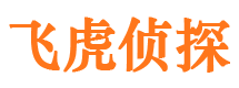 金湖市侦探公司